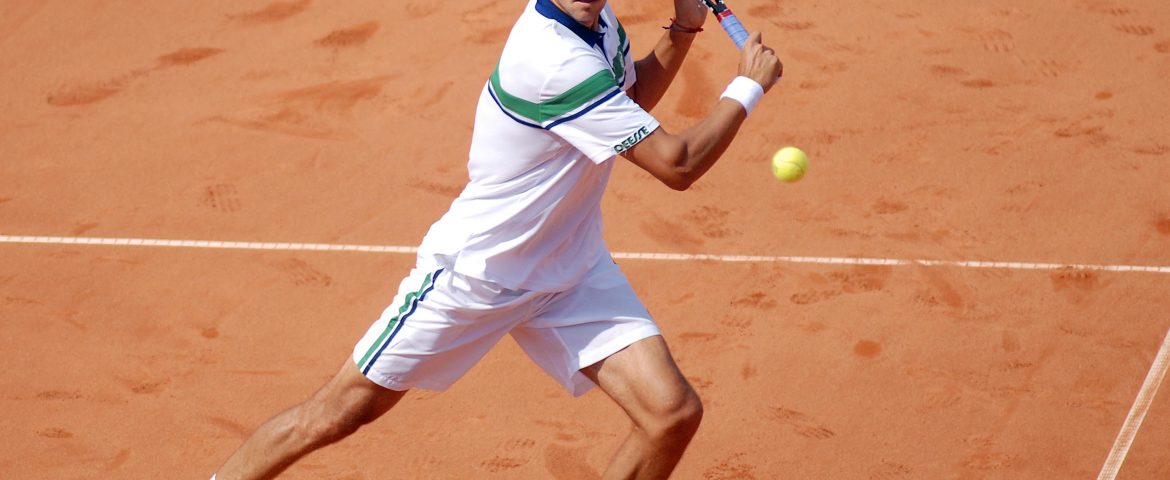 Hănescu a fost eliminat de la Hamburg