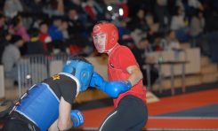 Naţionalele de Wushu, în umbra vremurilor glorioase de altădată