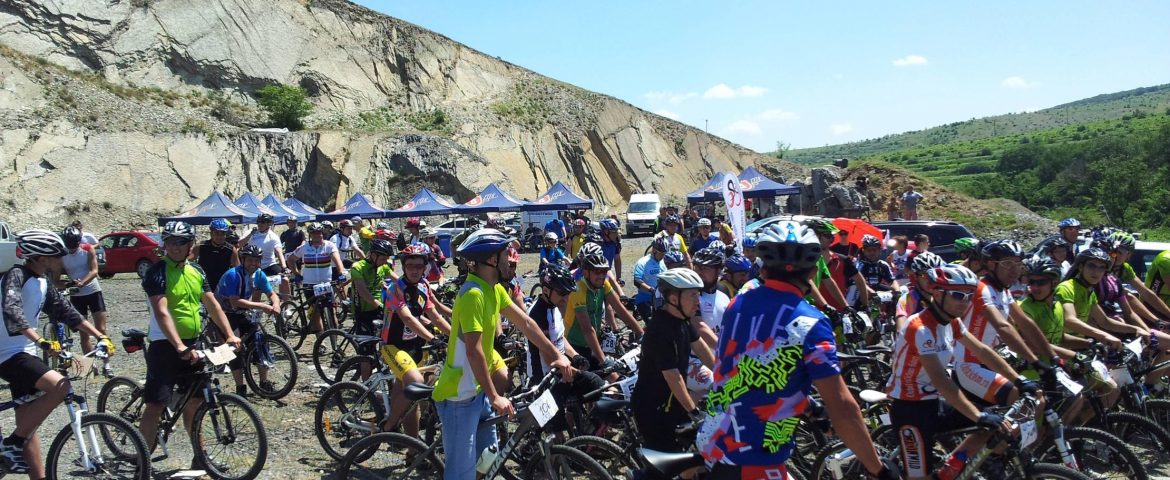 Activitate intensă pentru sportivii de la CS Tibiscus