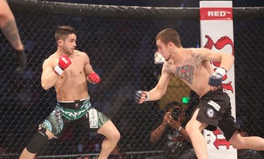 FR Kempo – o nouă realizare de excepție pentru MMA-ul românesc