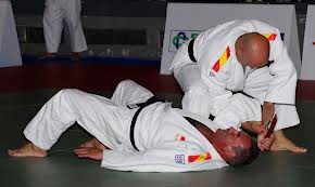 Două medalii de aur și un argint la Europenele de kata