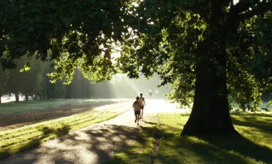 Cu drag, despre alergare la timpul prezent