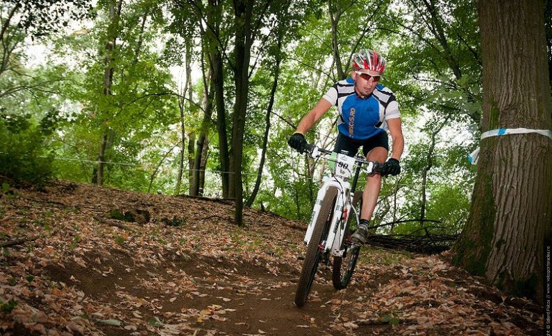 CS Tibiscus a obţinut al treilea titlu de campion naţional în 2013