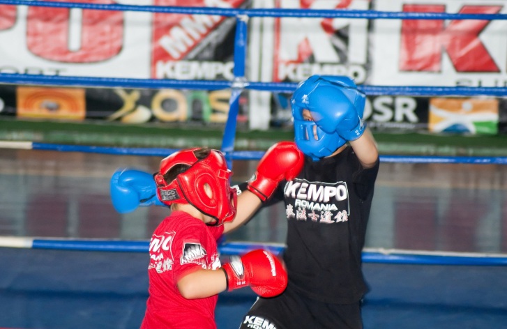 Festival de kempo la Gala “Trofeul Deltei”, la Tulcea