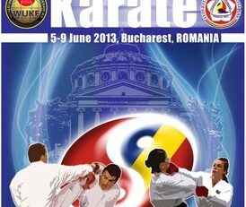 Rezultatele după prima zi de concurs a Campionatelor Naţionale de karate pentru cadeţi şi juniori