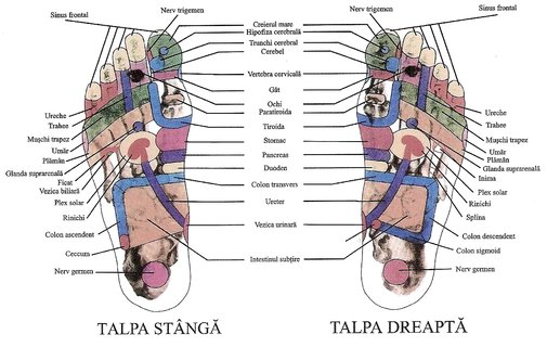Reflexoterapia, minunea din propriile noastre mâini