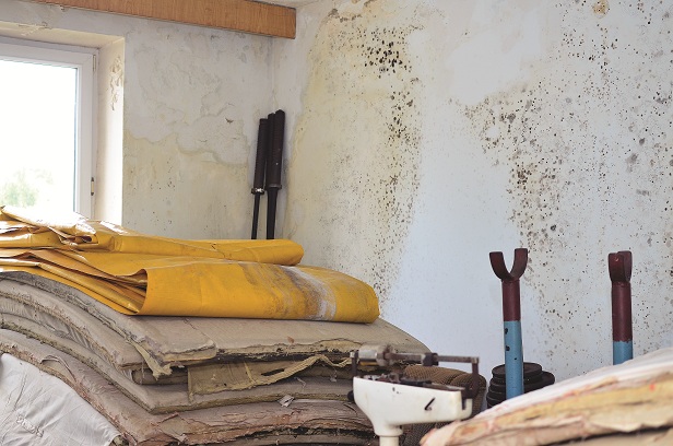 În dulcele-i stil clasic…Indolenţa şi interesele meschine, aproape să pună lacătul pe poarta CS Petrolul Ploieşti