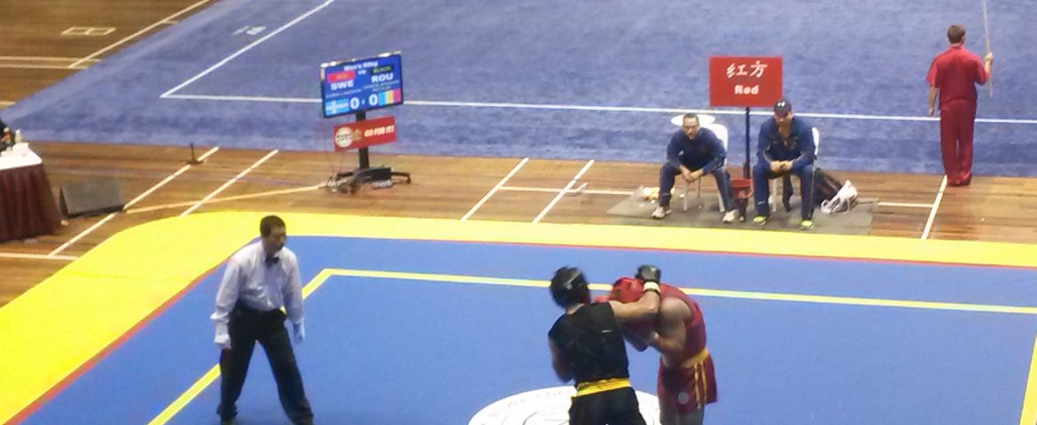 Campionatul Mondial de Wushu, o afacere chinezească. Românii au obţinut o singură victorie în primele zile de concurs