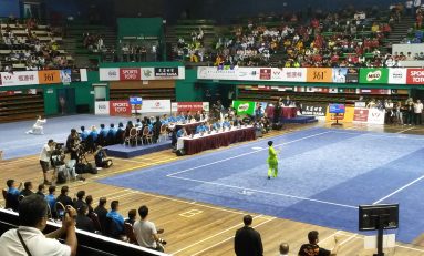 Înfrângeri pe linie pentru români la Mondialul de Wushu