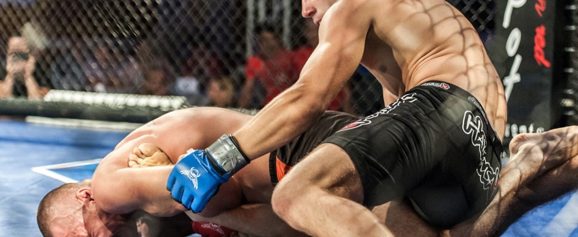 Mixed Martial Arts Transilvania, un club de referinţă al sportului marţial din România