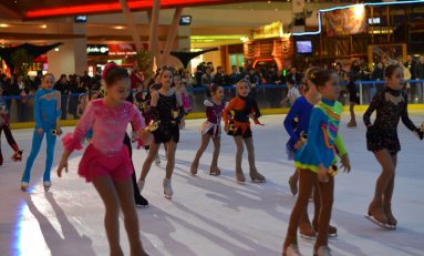 Talent, determinare, ambiţie și speranțe pe gheață