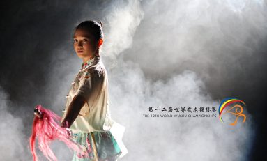 Ion Benea, şeful departamentului de wushu: “Se impune reformarea wushului!”