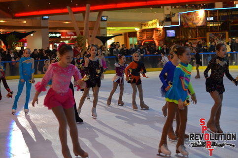 Graţie pe gheaţă în memoria lui Nicolae Bellu