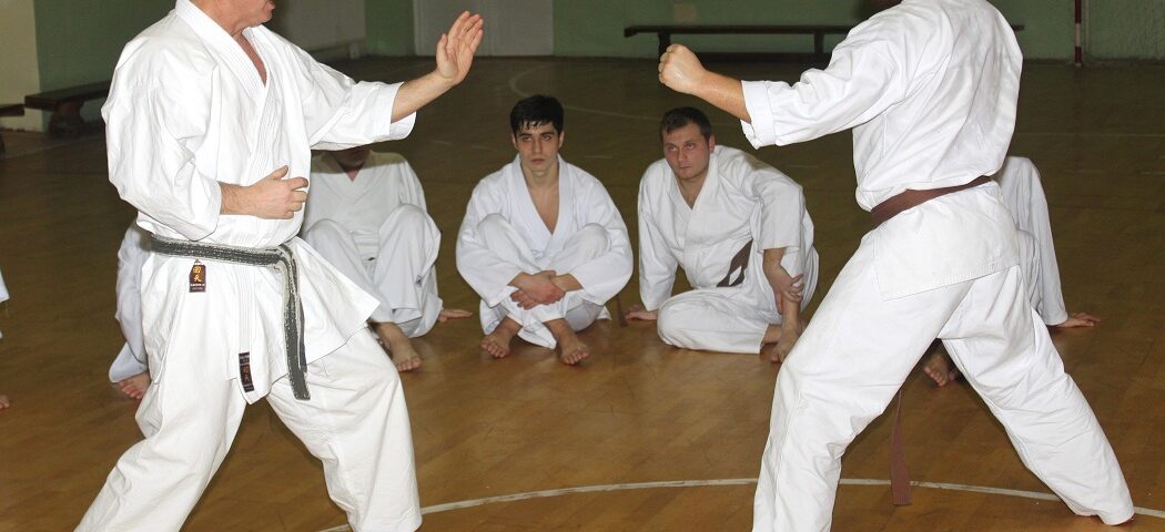 Oraşul lui Bacovia, gazdă pentru stagiul de karate SKDUN