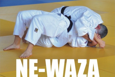 Stagiu de luptă la sol, în weekend, la Cluj Napoca