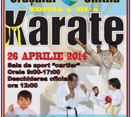 Micii karatişti se întrec la Chitila