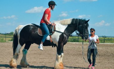 Country Club, o oază de linişte şi relaxare la marginea Bucureştiului