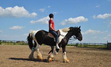 Country Club, o îmbinare armonioasă între relaxare, sport şi sănătate