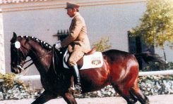 Legături „pur sânge”