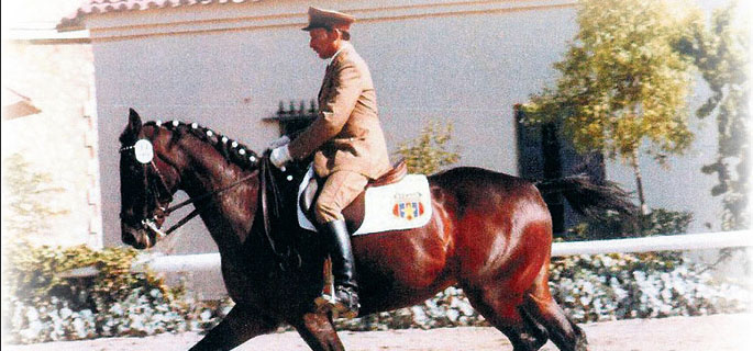 Legături „pur sânge”