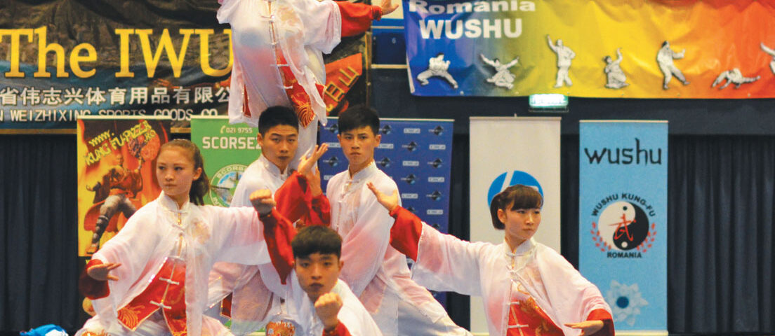 Un Campionat European cu bune şi cu rele