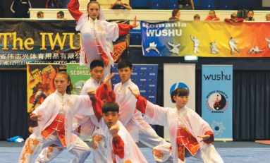 Un Campionat European cu bune şi cu rele