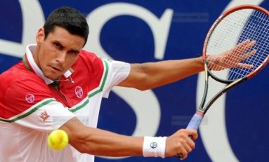 Victor Hănescu, în sferturile challengerului de la Alphen