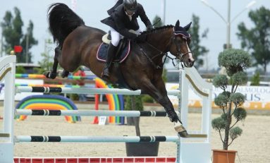 Salonul calului, la a treia ediție