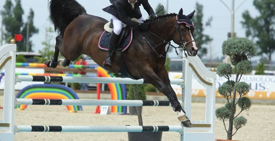 Salonul calului, la a treia ediție