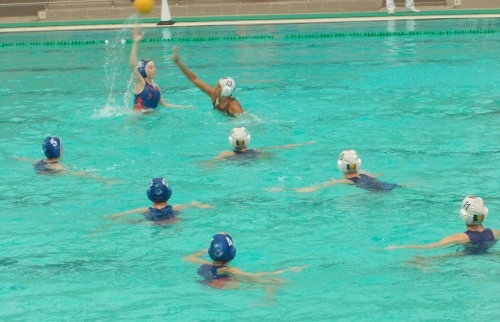 Torpi Tg. Mureș va reprezenta România în Euro League