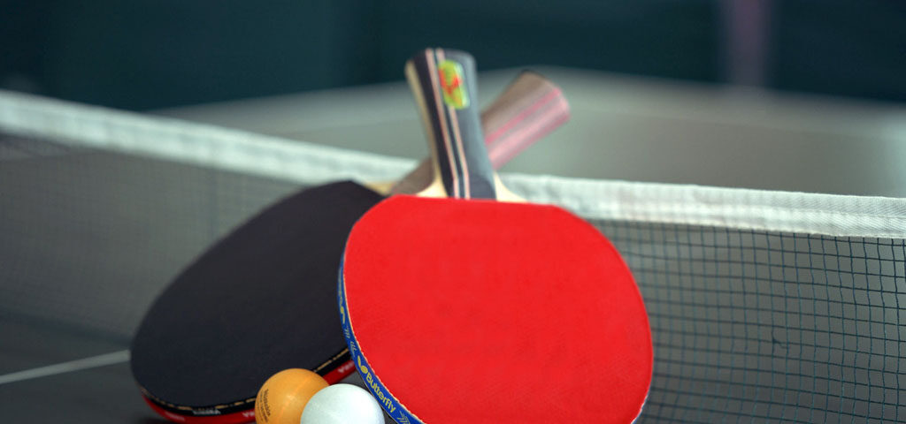 Sportivii noștri au plecat la Campionatele Europene