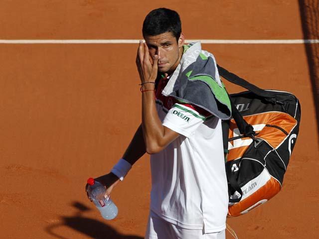 Victor Hănescu ratează finala de la Alphen