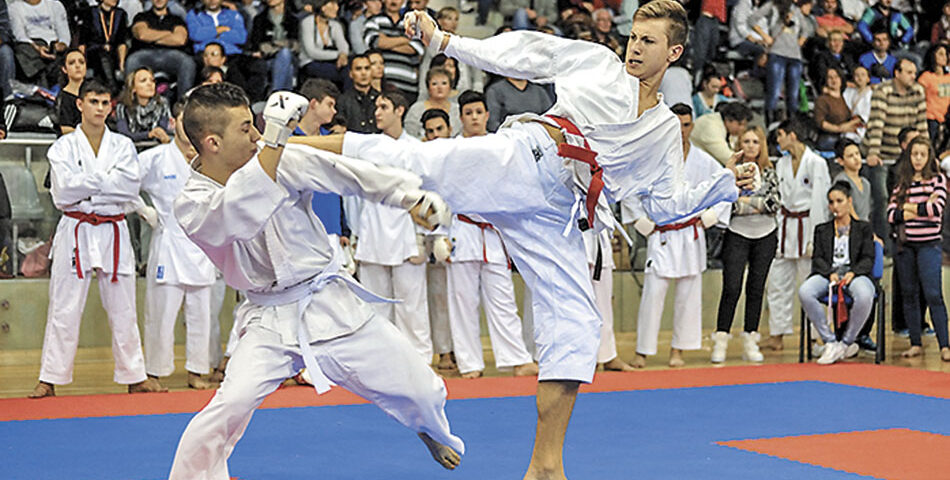 Un vechi practicant de karate îi scrie primului ministru: “Doamna Lipă a ucis artele marţiale!”