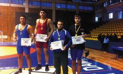 Performanţa ca stare de normalitate