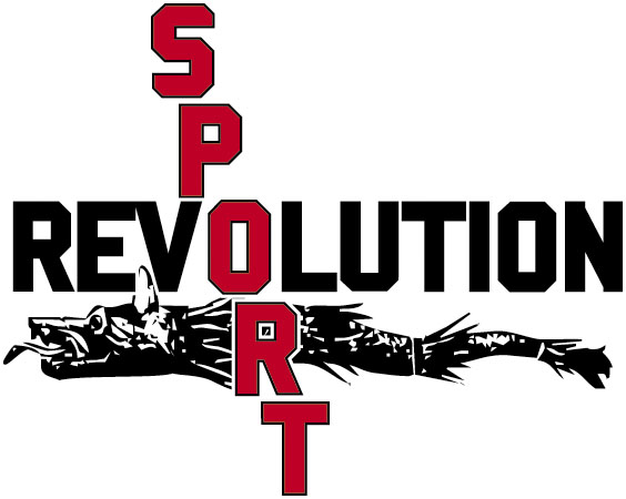 Fără lideri, doar cu şefi