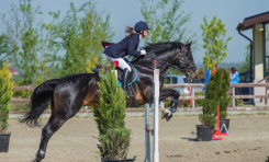 Salonul Calului, etapa a doua