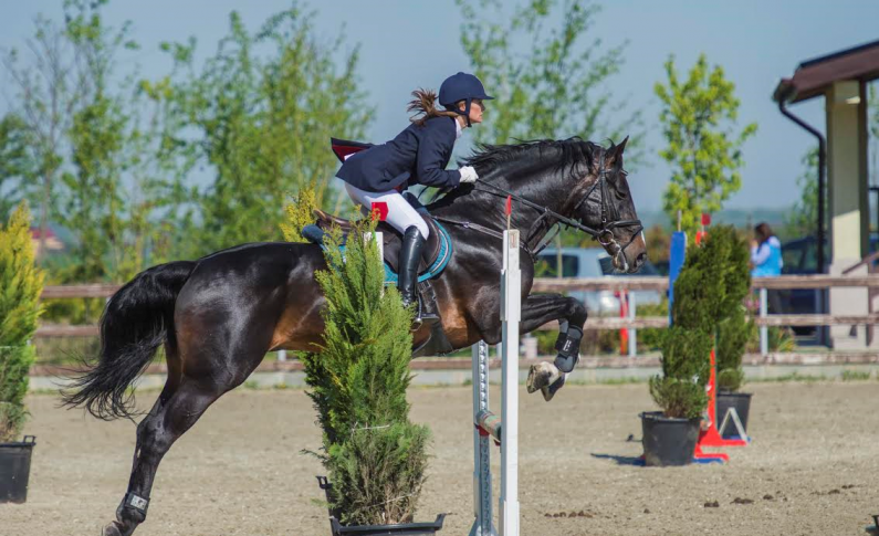 Salonul Calului, etapa a doua