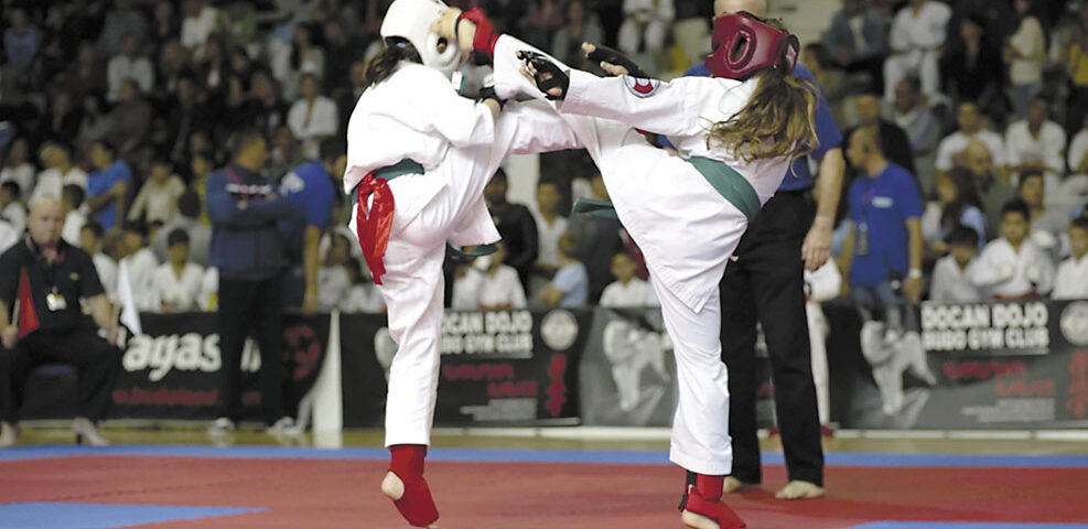 Bucharest Challenge Cup 2014, un turneu internaţional de succes