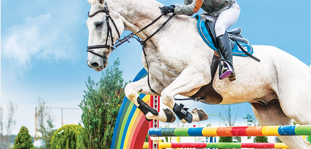 Echitație: Cupa României