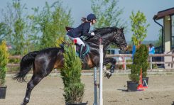 Concursul Naţional de Sărituri peste Obstacole „Cupa României”