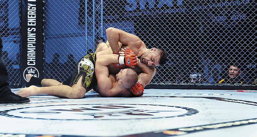 Adrian Preda – Profil de campion