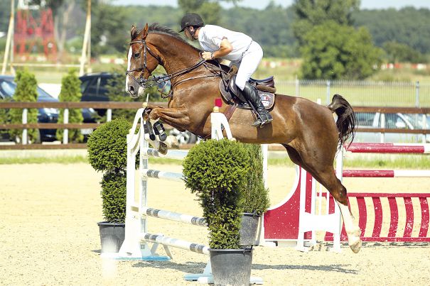 Finala Salonul Calului